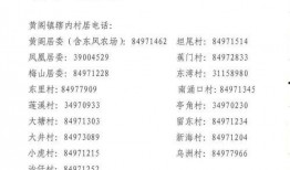 公平镇最新爆料新闻视频,视频揭露惊人真相，引网友热议
