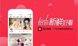 今日西瓜爆料新闻直播,今日直播热点回顾，揭秘幕后故事